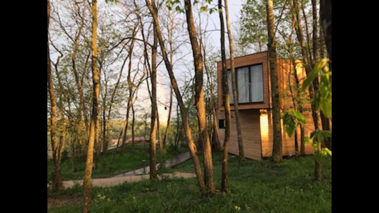 Les Cocons De L'Illon Bed & Breakfast Ville-sur-Illon Exterior foto